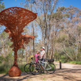 Great Victorian Rail Trail - Tallarook to Trawool